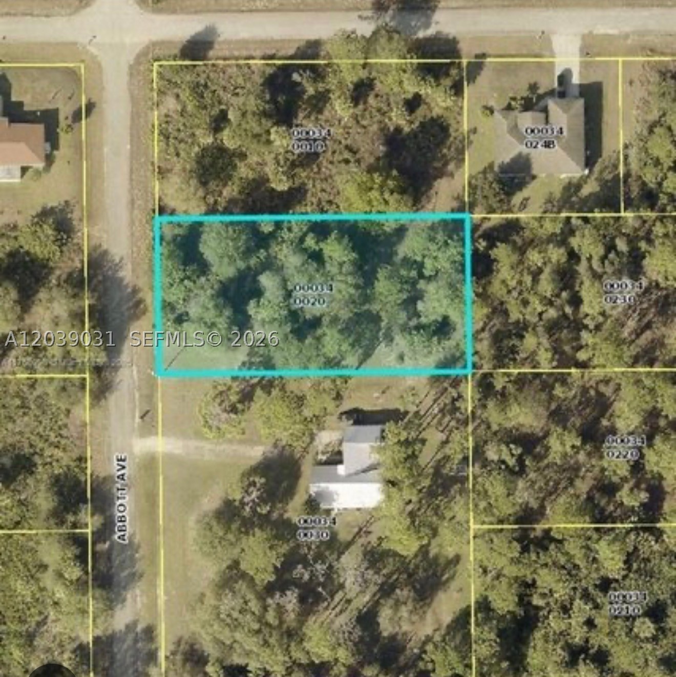 LEHIGH ACRES - Land