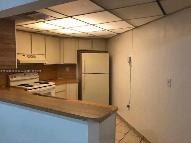 BLEAU FONTAINE CONDO #ONE - Residential Lease