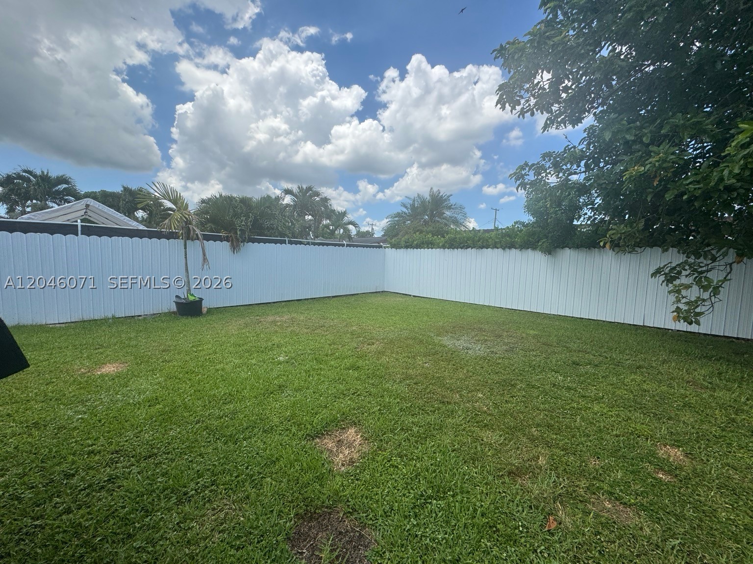 OLYMPIC HEIGHTS - Residential Lease
