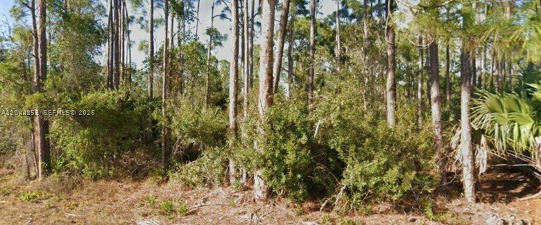 Don't miss this opportunity to own a residential lot in the growing community of South Punta Gorda Heights. This approximately 8,000-square-foot homesite is zoned RSF-5 and offers an excellent opportunity to build your Florida dream home or purchase as a long-term investment. Conveniently located near Burnt Store Road, I-75, downtown Punta Gorda, shopping, restaurants, golf courses, parks, boating, fishing, and Gulf Coast beaches. No HOA. Well and septic required. New construction continues to expand throughout the surrounding area, making this an attractive location for future growth.