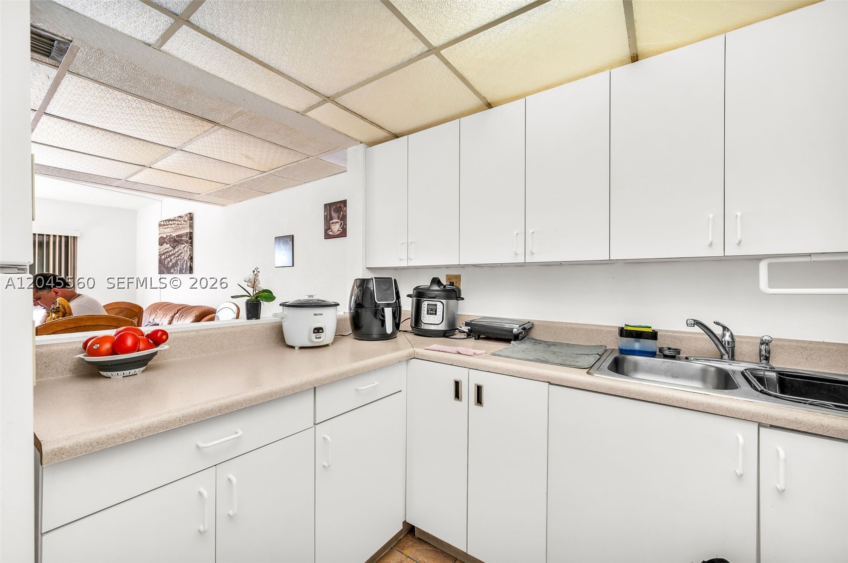 WESTLAND MANORS EAST COND - Residential