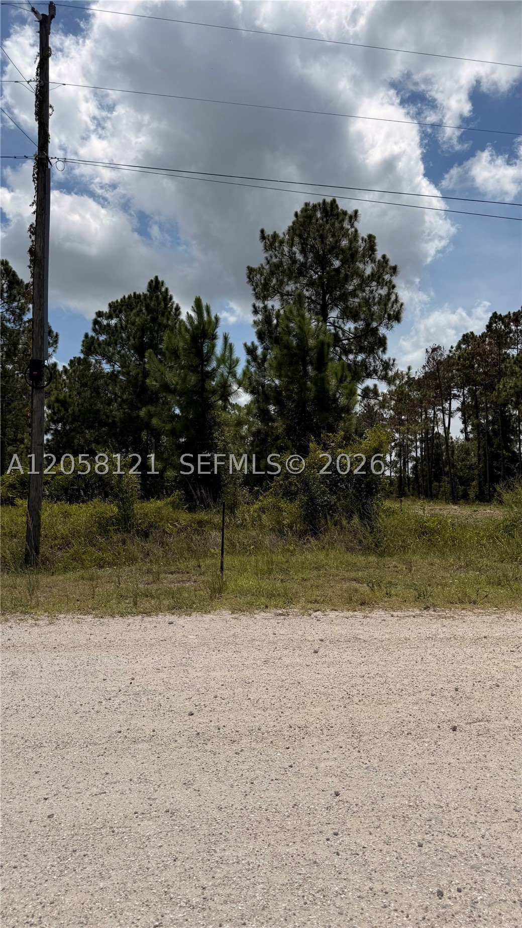 Discover the potential of this spacious 1.25-acre residential lot located at 215 N Kennel St. With plenty of room to bring your vision to life, this property offers an excellent opportunity for those looking to build a home and enjoy the space and privacy that a larger lot provides.

Whether you're looking to build your dream home or invest in land with future potential, this property is worth exploring. Residential zoning and ample acreage create a great opportunity to make your plans a reality.