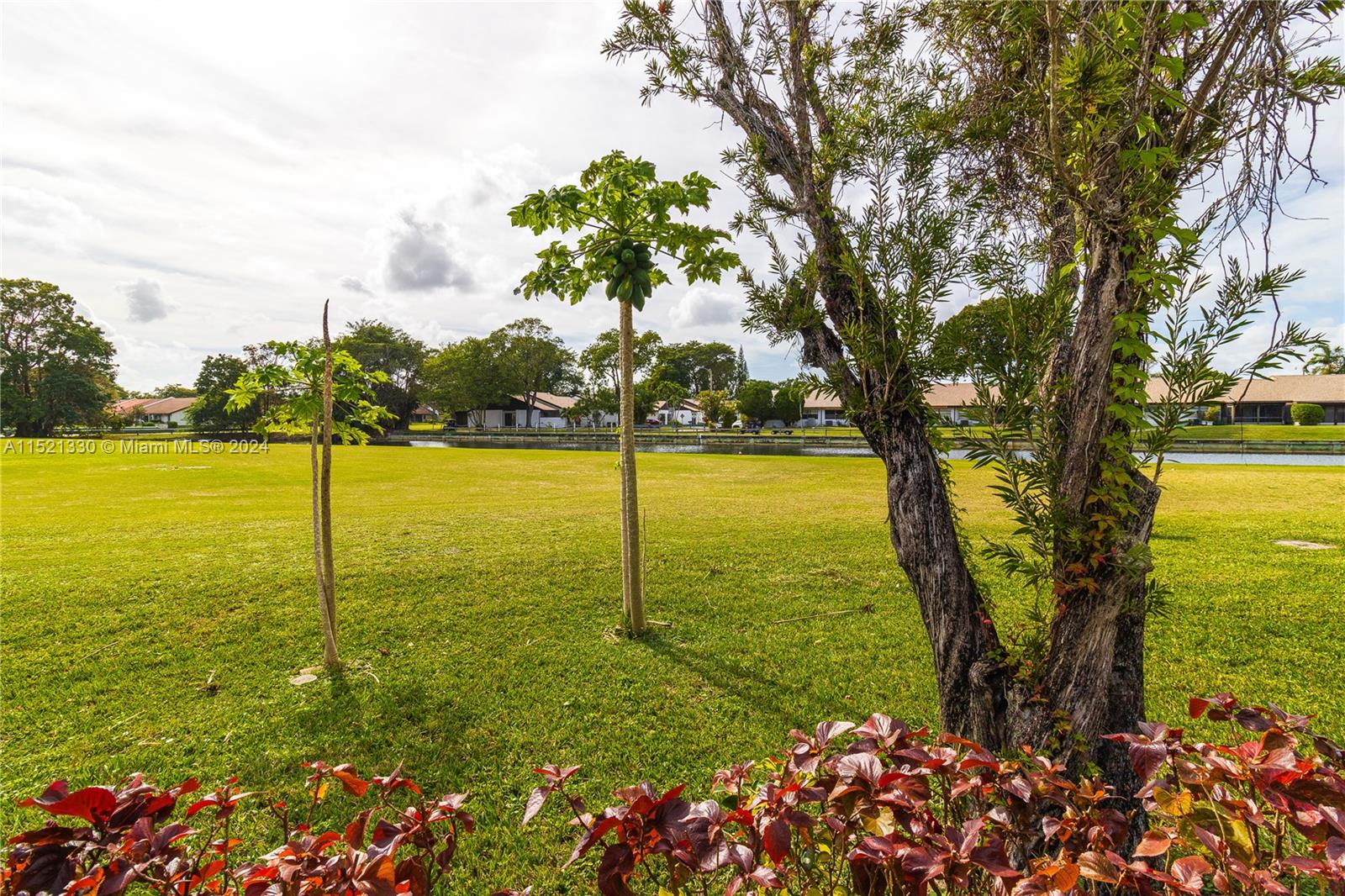 WEDGEWOOD CONDOMINIUM - Residential