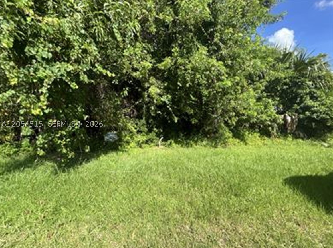 Positioned in a growing Florida community, this property offers an excellent opportunity for development, investment, or future use. As population growth and infrastructure improvements continue to drive demand throughout the region, land opportunities like this are becoming increasingly scarce. Whether you're planning to build now or hold for future appreciation, this parcel is a smart addition to any portfolio.