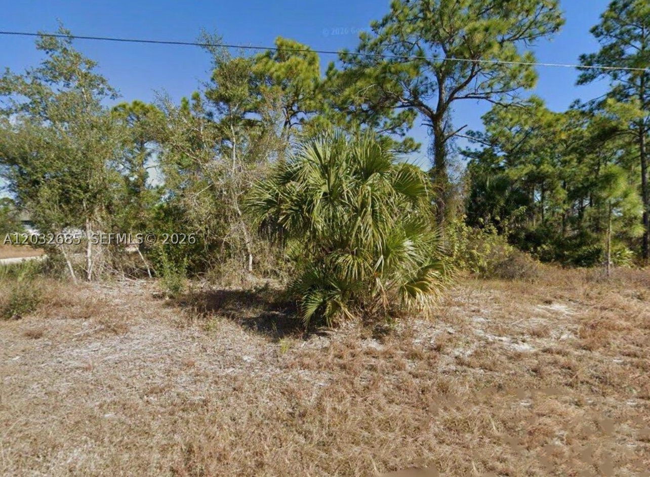 Discover a fantastic opportunity to own a piece of land in the rapidly growing community of Lehigh Acres! This vacant lot offers endless possibilities for your dream home or investment. Quiet residential area with easy access to local amenities. Close to schools, shopping centers, parks, and recreational facilities. Convenient access to major roads for commuting. Ideal for building your custom home or as a long-term investment. No HOA fees, allowing for flexible building options.
For more details please contact Eliza Seraphin with Lifestyle International Realty 310-343-2106 or Eshomeslistings@gmail.com