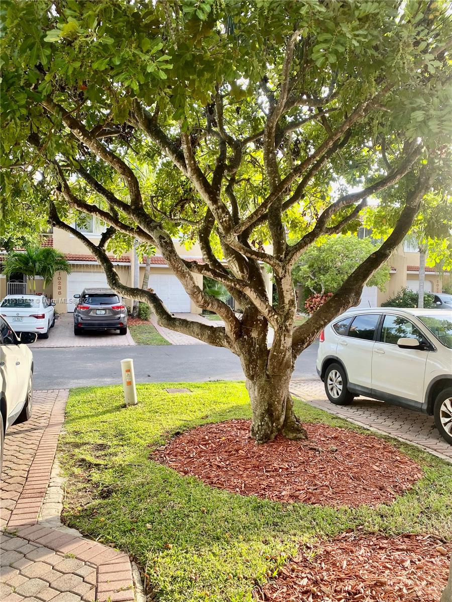 DORAL COVE - Residential Lease
