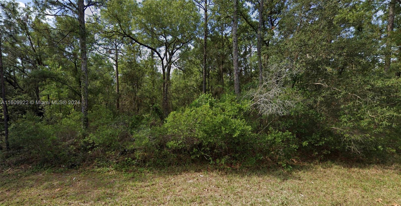 PINE RIDGE UNIT 3 - Land