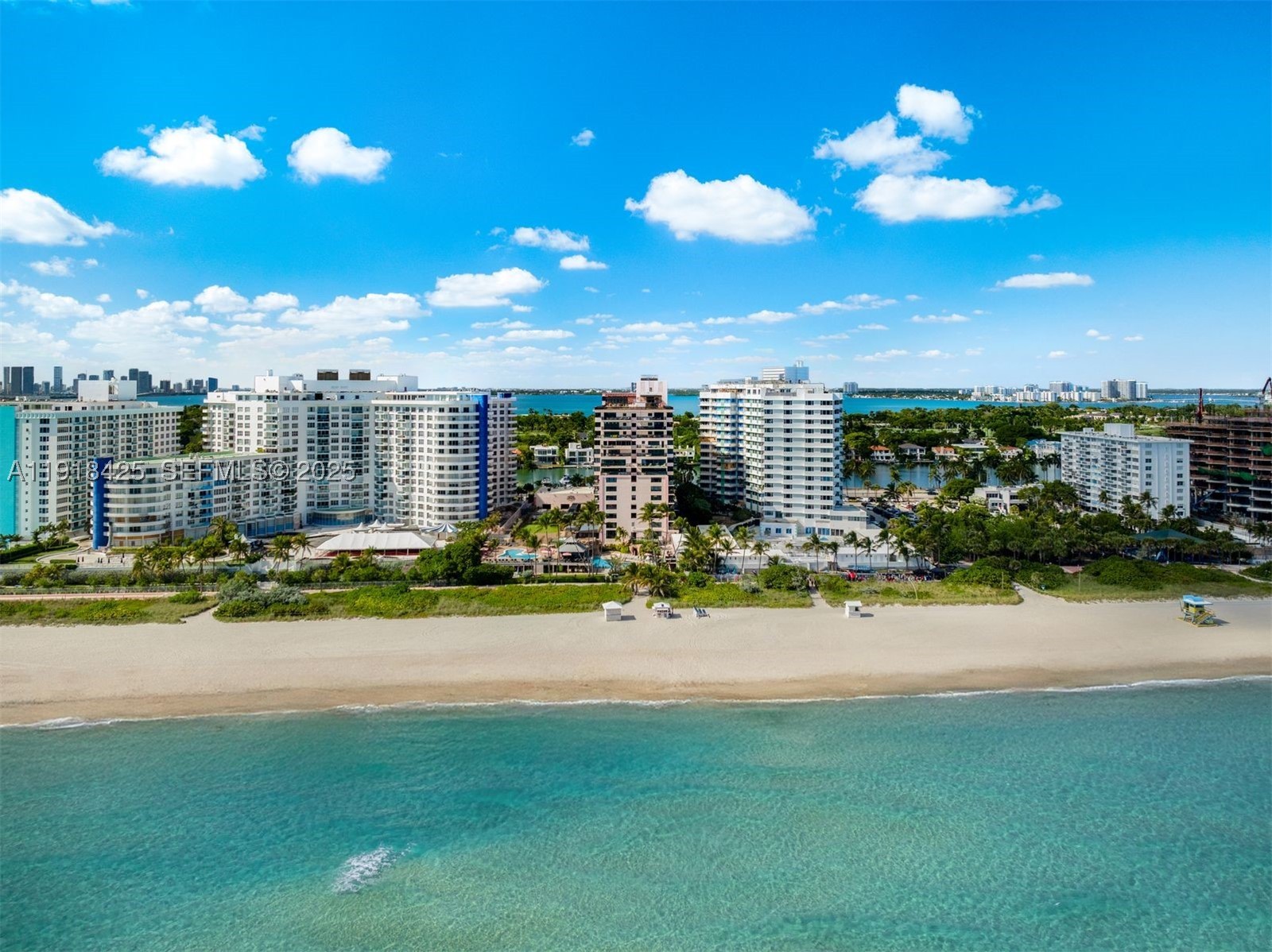 THE ALEXANDER CONDO - Residential