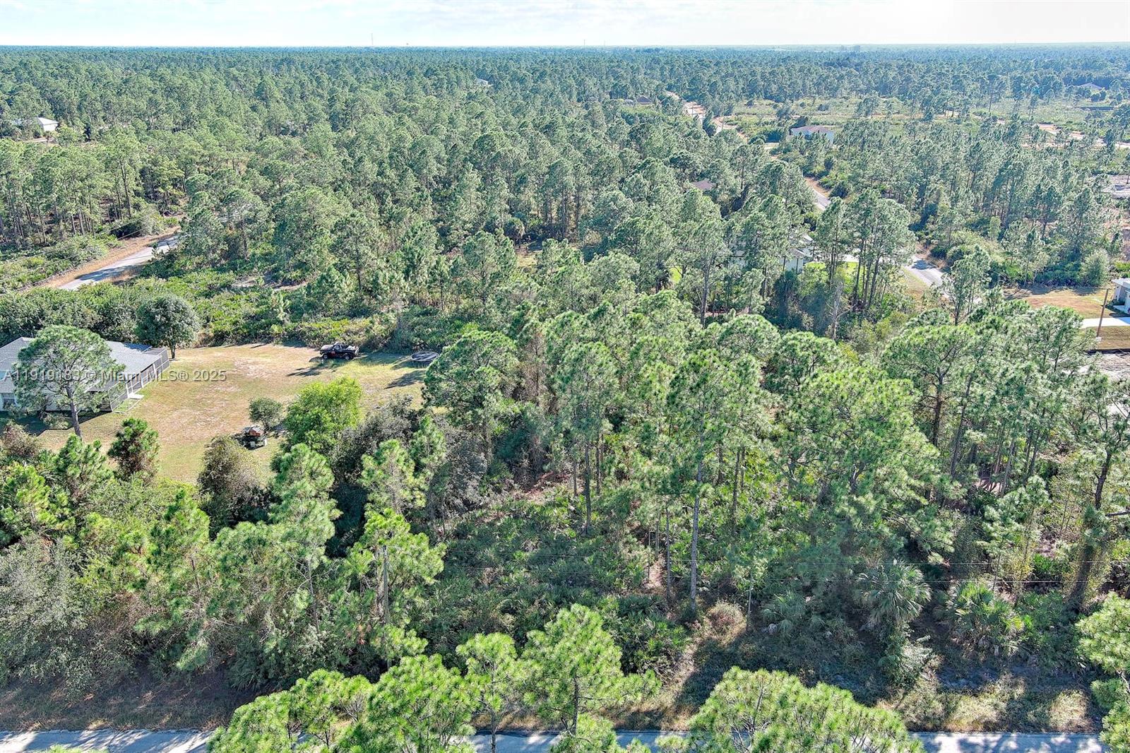 LEHIGH ACRES - Land