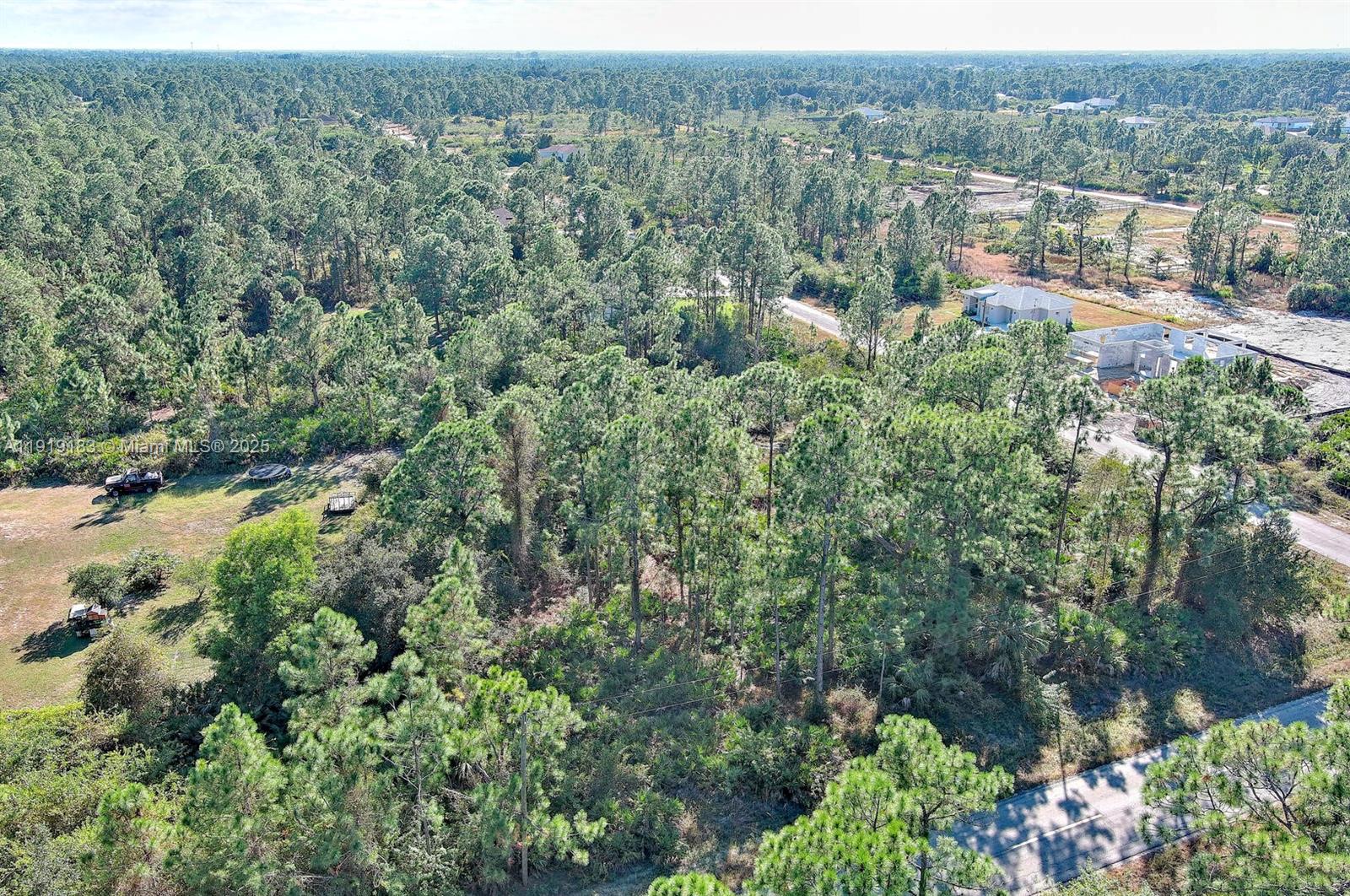 LEHIGH ACRES - Land