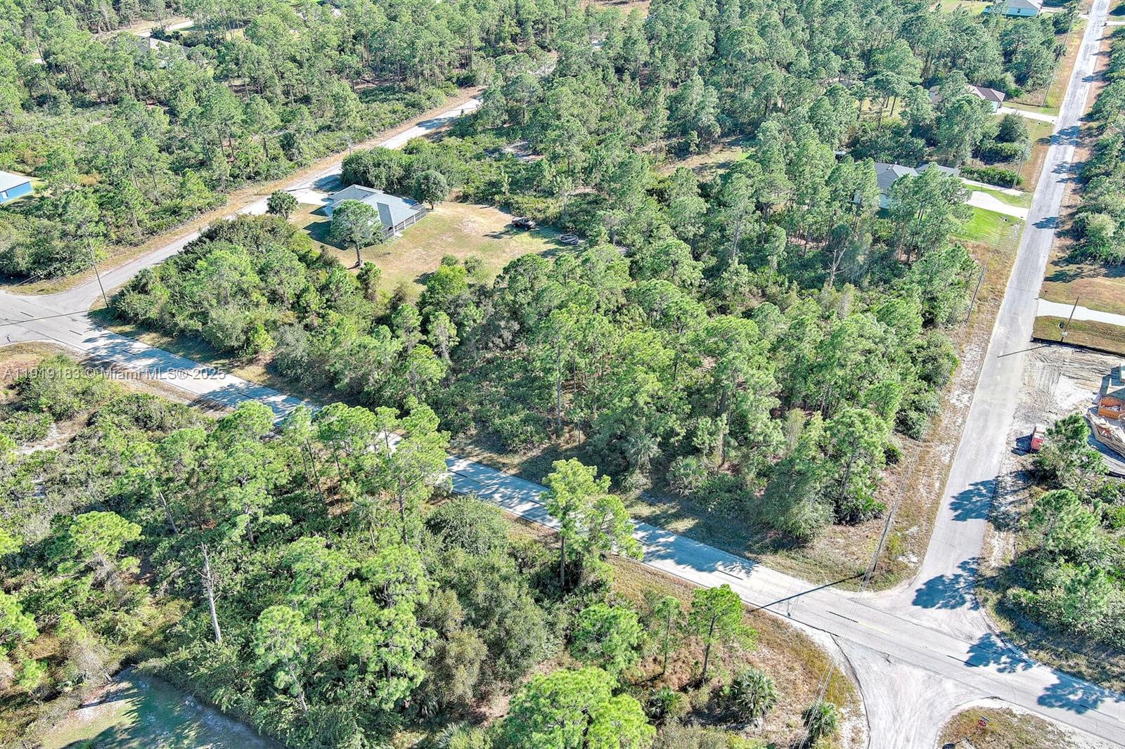 LEHIGH ACRES - Land