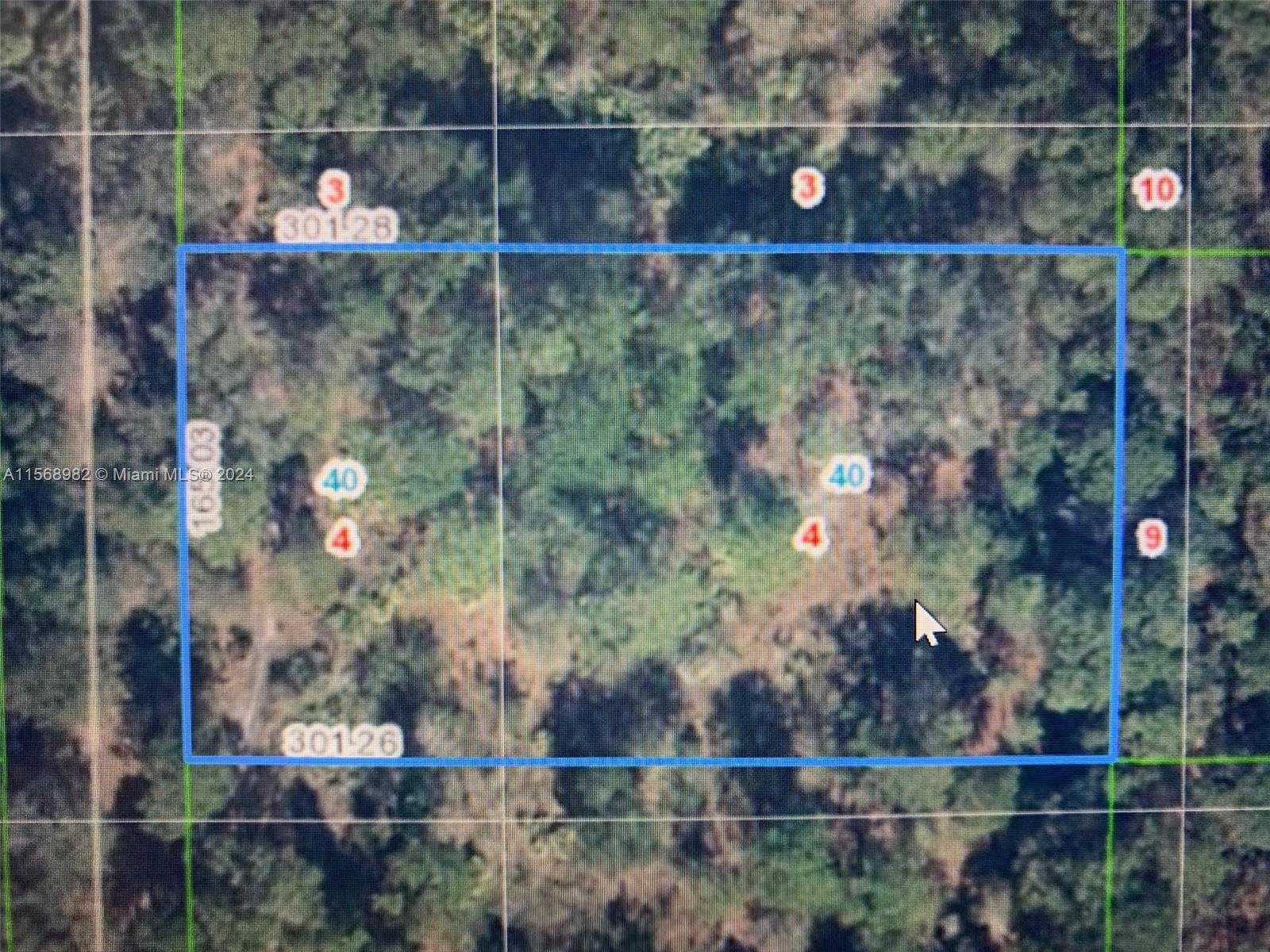 AVON PARK ESTATE - Land
