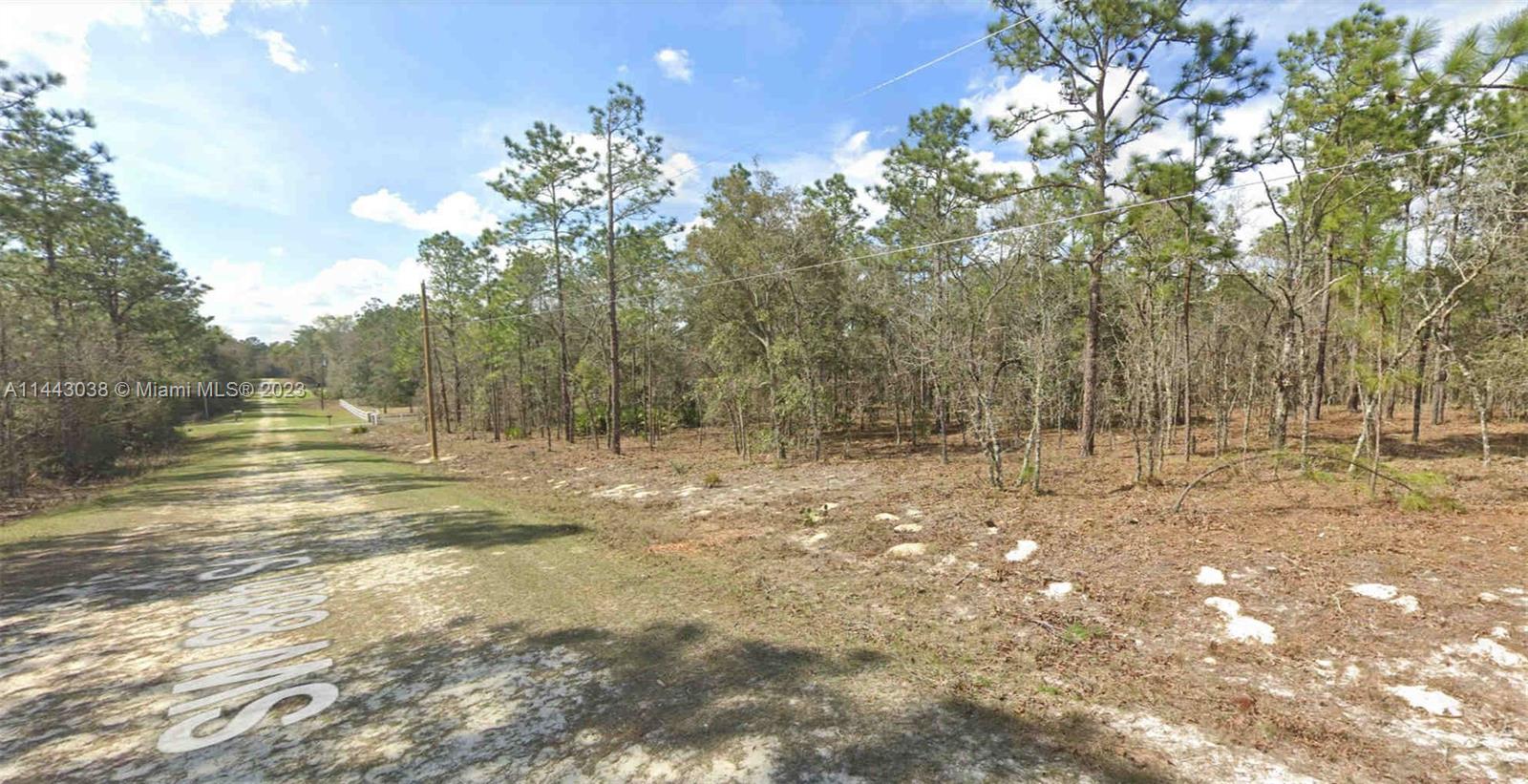 A beautiful high and dry location. 1.16-acre wooded vacant lot situated amongst many new and existing construction. With easy access to HWY 40 & SR-200, you will have a quiet country setting yet just minutes to tons
of amenities. Lot Size is 165ft x 305ft. Zoned R1. Pine trees are scattered throughout the lot. Very
close to paved road on (SW 129 Terrace Road). Dunnellon, FL 34432