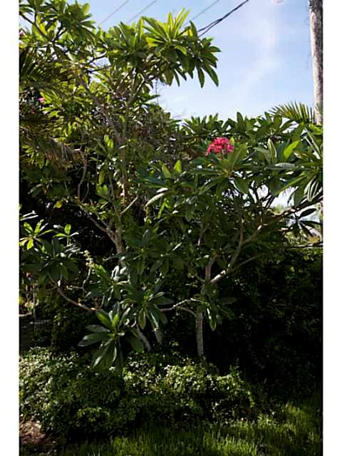 CORAL RIDGE ADD B 41-47 B - Residential