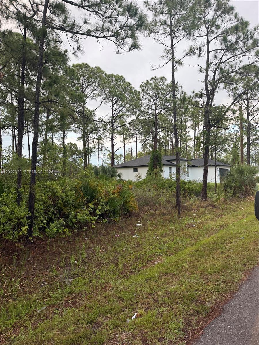Build your dream home on this spacious residential lot located in the rapidly growing community of Lehigh Acres. Situated on a street with multiple newly constructed homes and ongoing development, this property offers an excellent opportunity for homeowners, builders, and investors alike. Enjoy the benefits of a developing neighborhood with strong growth potential while still being conveniently located near schools, shopping, dining, parks, and major roadways. Whether you're looking to build now or hold for future appreciation, this lot presents outstanding value in one of Southwest Florida's fastest-growing areas. Don't miss the chance to secure your place in this expanding community.