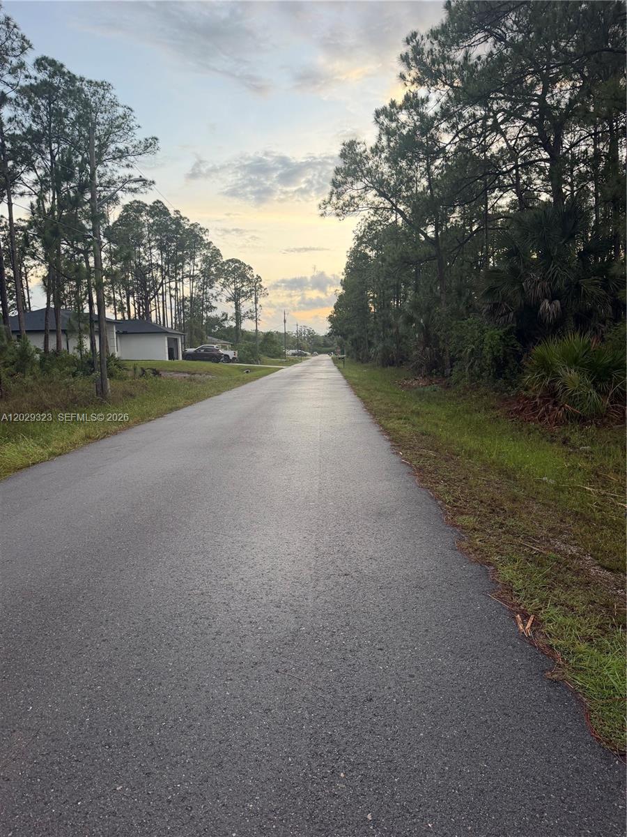 Lehigh Acres - Land