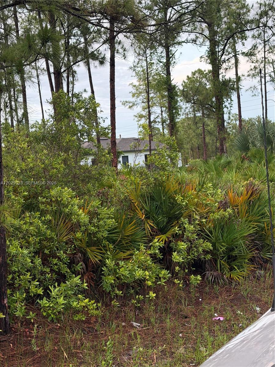 Lehigh Acres - Land