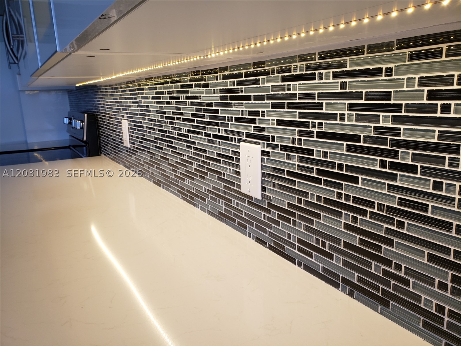 LAKE POINT TOWER CONDO - Residential Lease