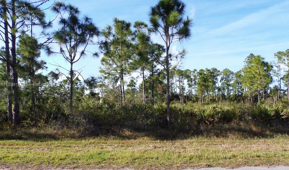 Port Charlotte - Land