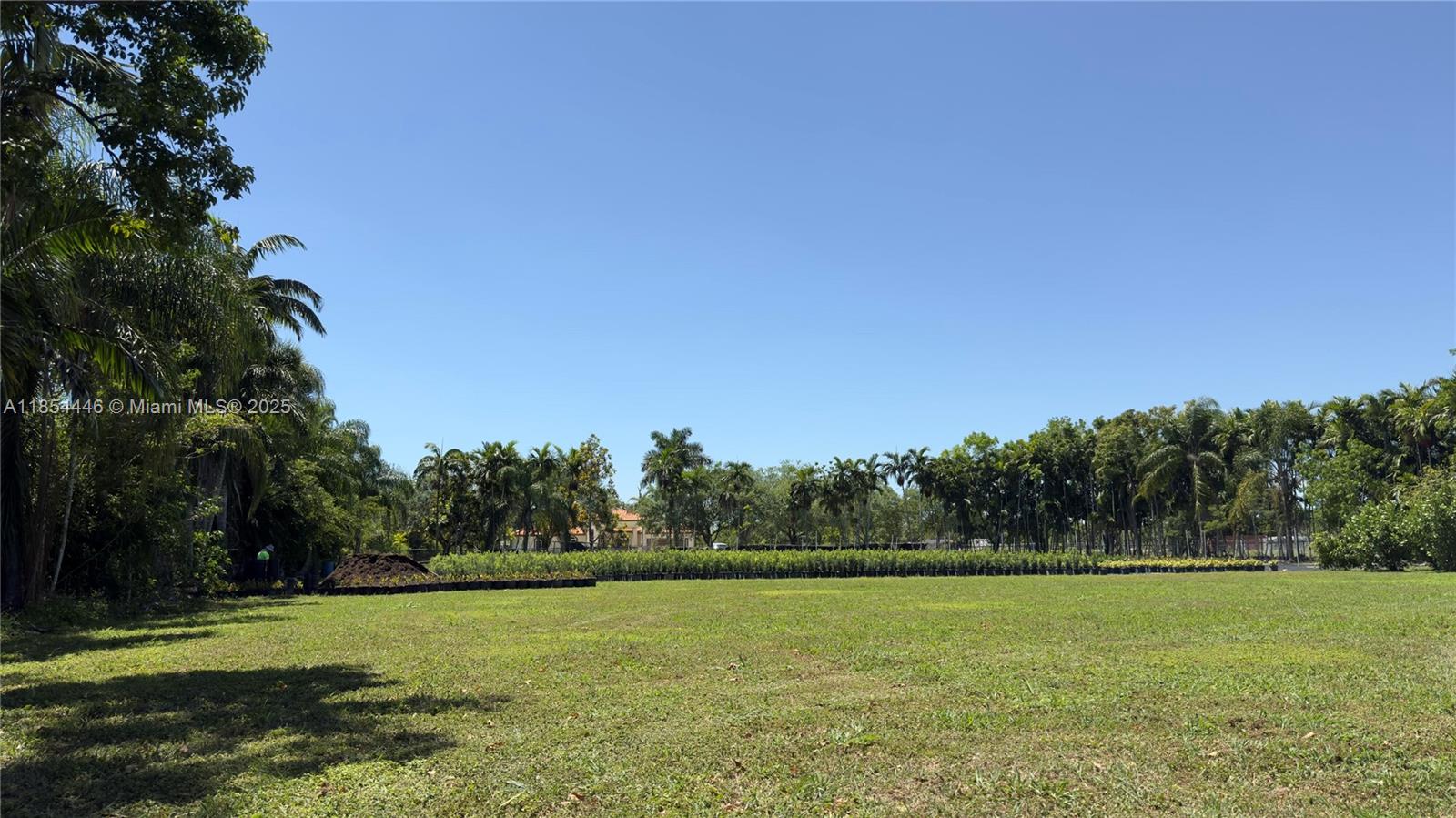 Bonanza Rhos - Land