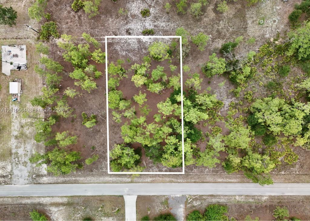 Build your dream home on this spacious 0.50-acre vacant lot located in a growing area of Lehigh Acres. This property offers plenty of room for a custom residence, outdoor living space, and more, while still providing privacy and a peaceful setting. Conveniently located near schools, shopping, dining, parks, and major roadways with easy access to nearby cities and the Gulf Coast beaches. No HOA and great potential for future investment or new construction opportunity. Don’t miss your chance to own land in one of Southwest Florida’s expanding communities.