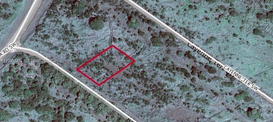 Prime Vacant Lot – Ideal for Future Development!
Spacious vacant lot offering an excellent opportunity to build a dream home or investment property. Located just minutes from the beach with convenient paved road access. Utilities are not yet connected, but infrastructure is rapidly expanding in the area. A great time to invest in vacant land in Brevard County.