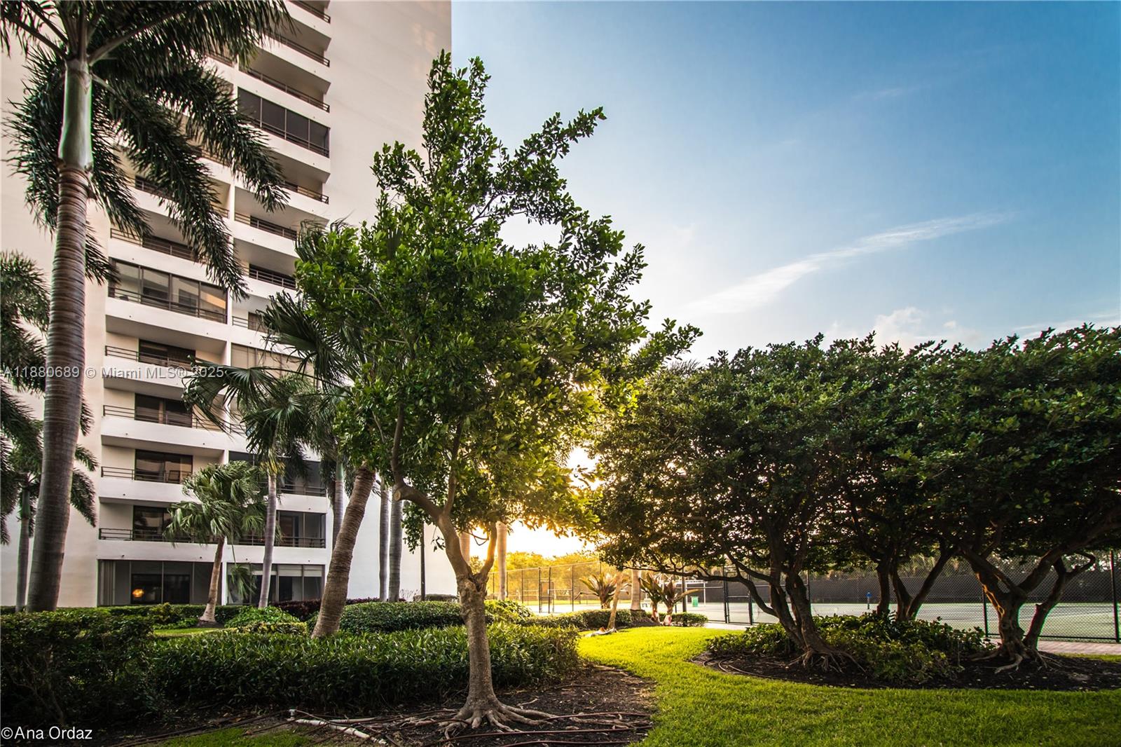 OLYMPUS CONDO PH A - Residential