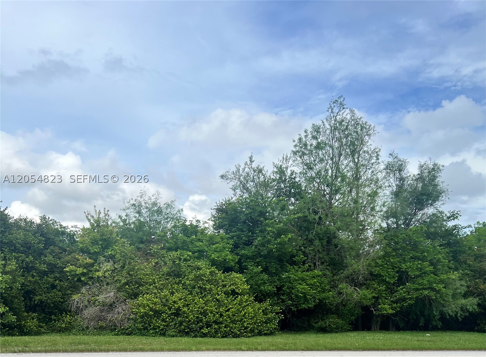 Discover the perfect opportunity to build your dream home in the heart of Marion County! This spacious homesite offers the ideal blend of peaceful country living with convenient access to shopping, dining, schools, medical facilities, and major roadways. Surrounded by Florida's natural beauty, you'll enjoy nearby parks, trails, lakes, and outdoor recreation while still being within easy reach of Ocala and surrounding communities. Whether you're looking to build now or invest for the future, this property offers endless possibilities with plenty of room to create the lifestyle you've been dreaming of. Don't miss your chance to own a piece of one of Central Florida's fastest-growing areas!