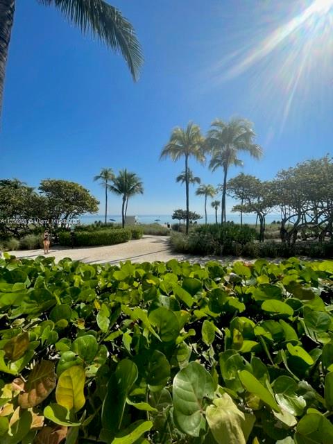 Beautiful and bright studio located in the exclusive city of Bal Harbor with direct access to the beach.
Unit is in excellent condition, modern kitchen with granite counter tops and washer & dryer. Balcony overlooking the garden.
The building has a swimming pool, fitness center, jacuzzi, spa, coffee shop, mini-market, 24 hour concierge, valet parking and much more. One assigned parking.