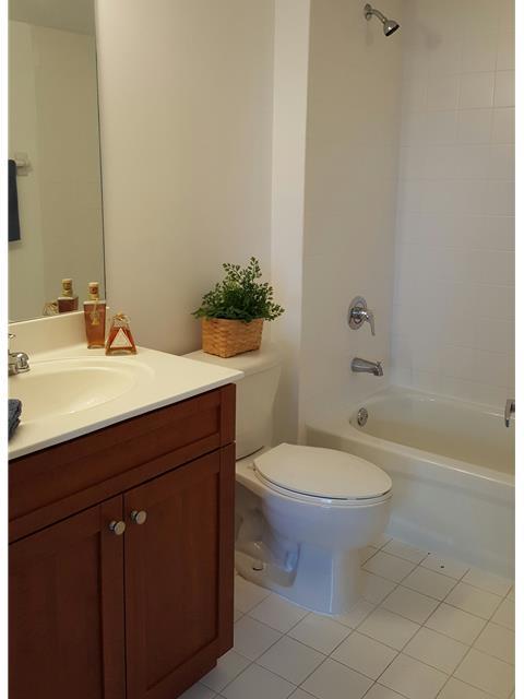 HAVANA LOFTS CONDO - Residential Lease