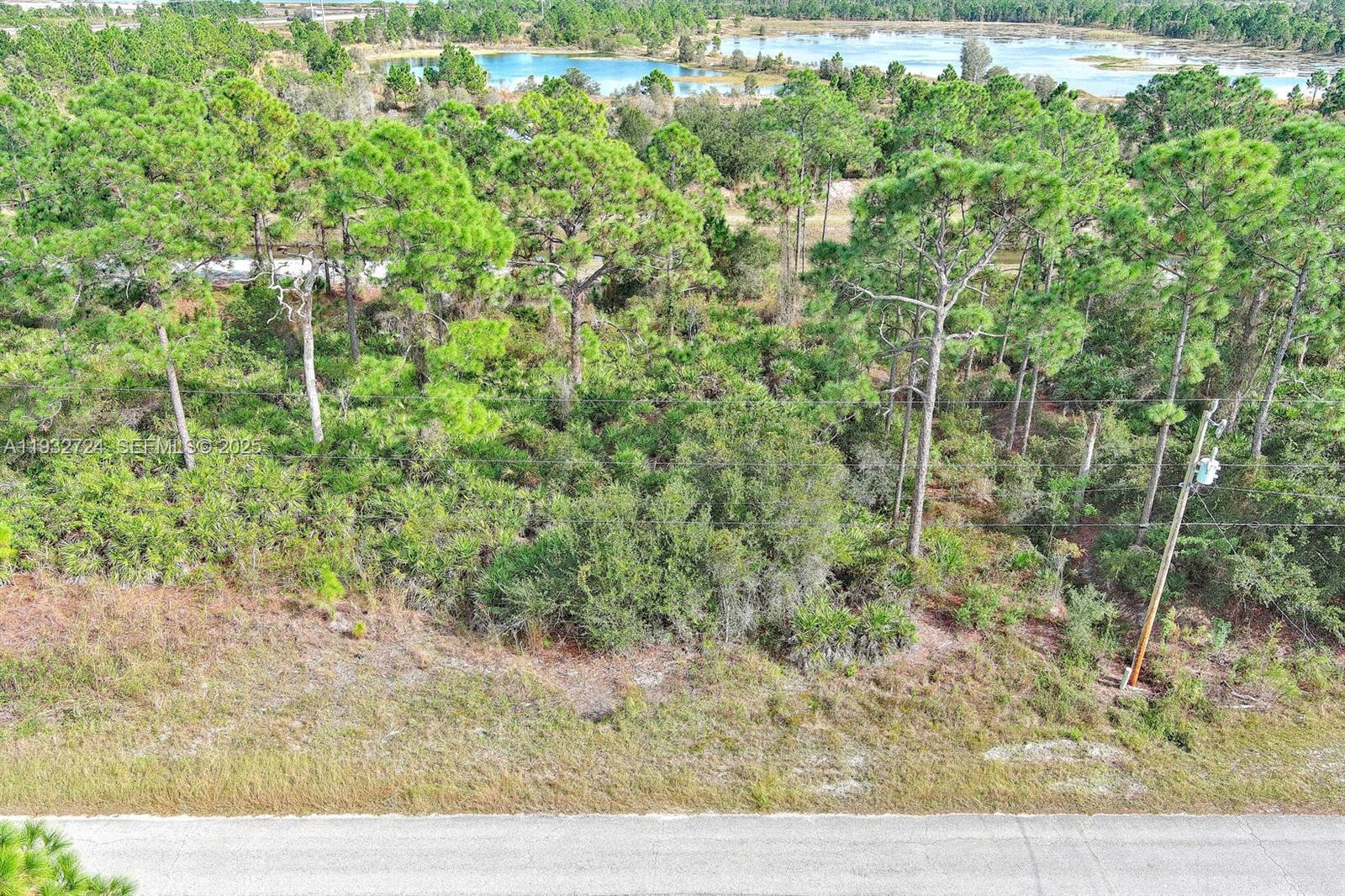 LEHIGH ACRES UNIT - Land