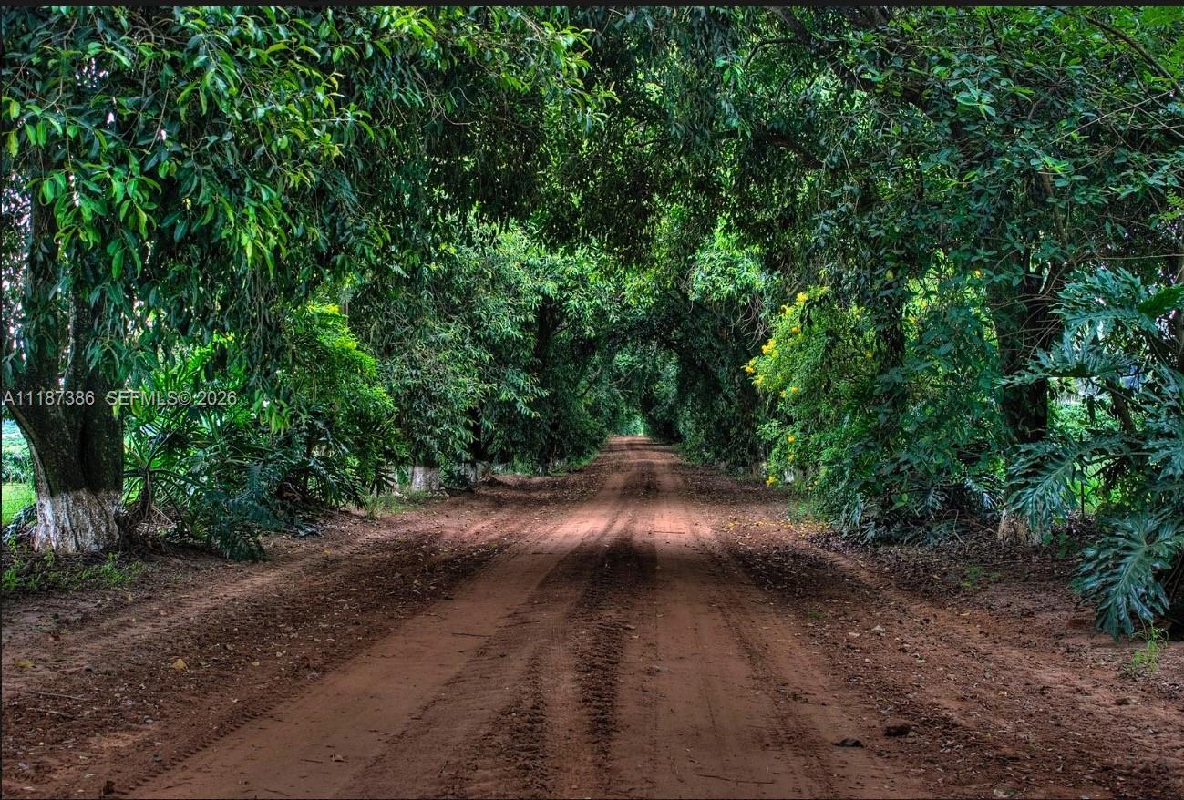Dorado, Sao Paulo - Land