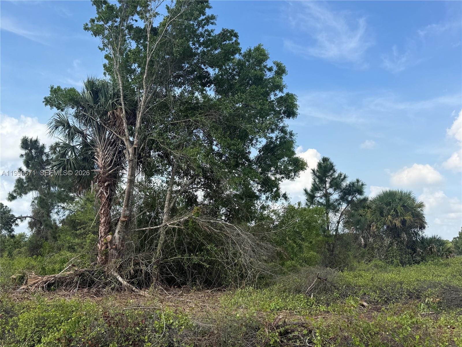 MONTURA RANCH ESTATES - Land