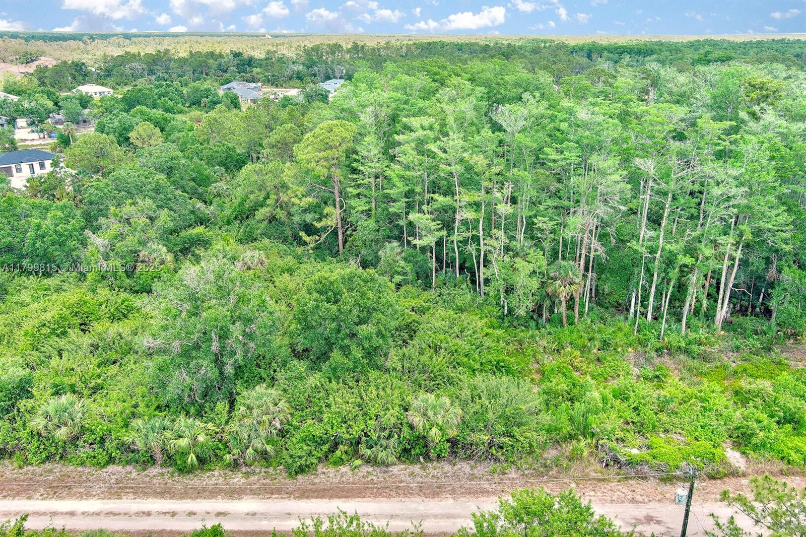 Lehigh Acres - Land