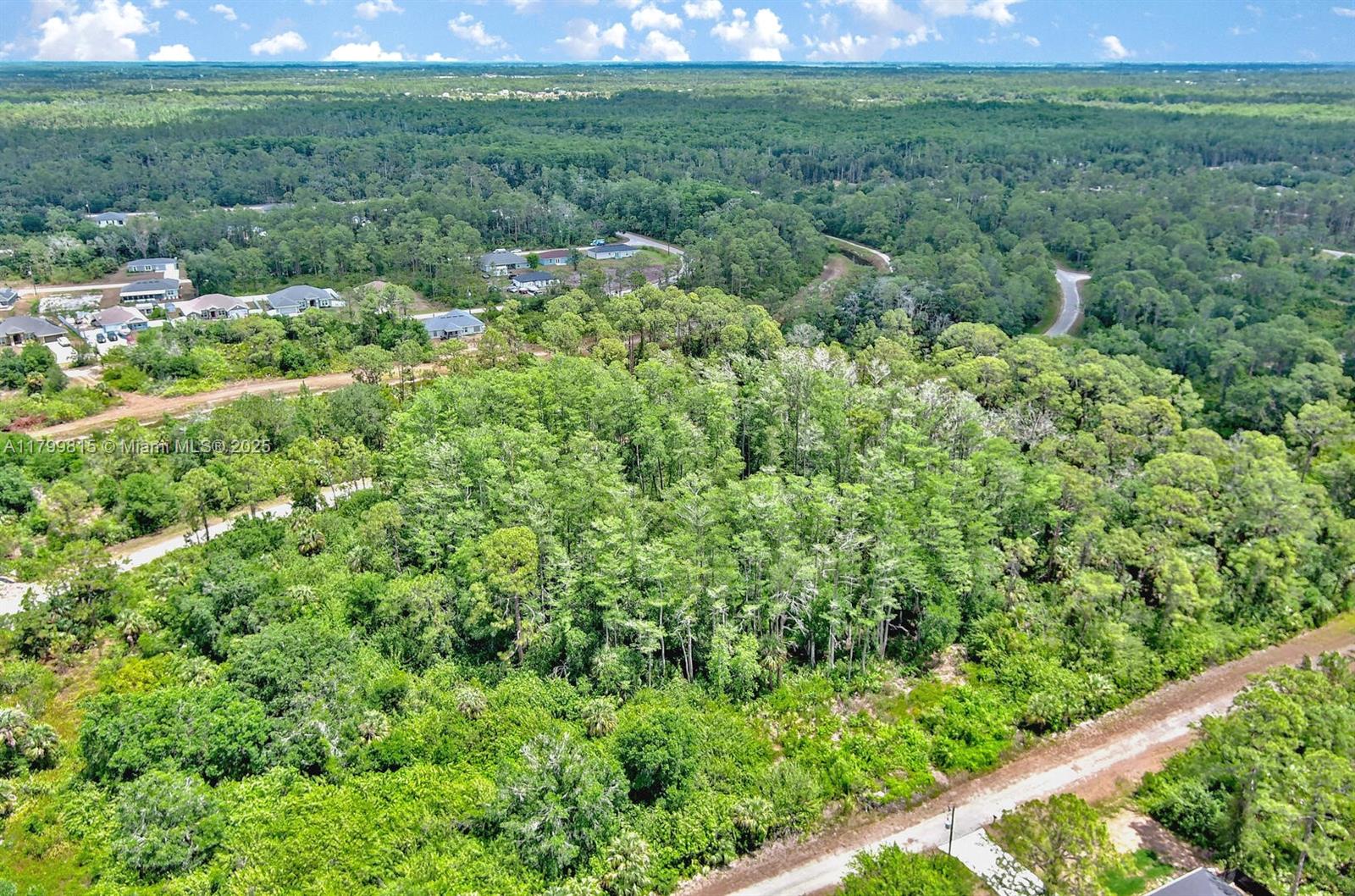 Lehigh Acres - Land
