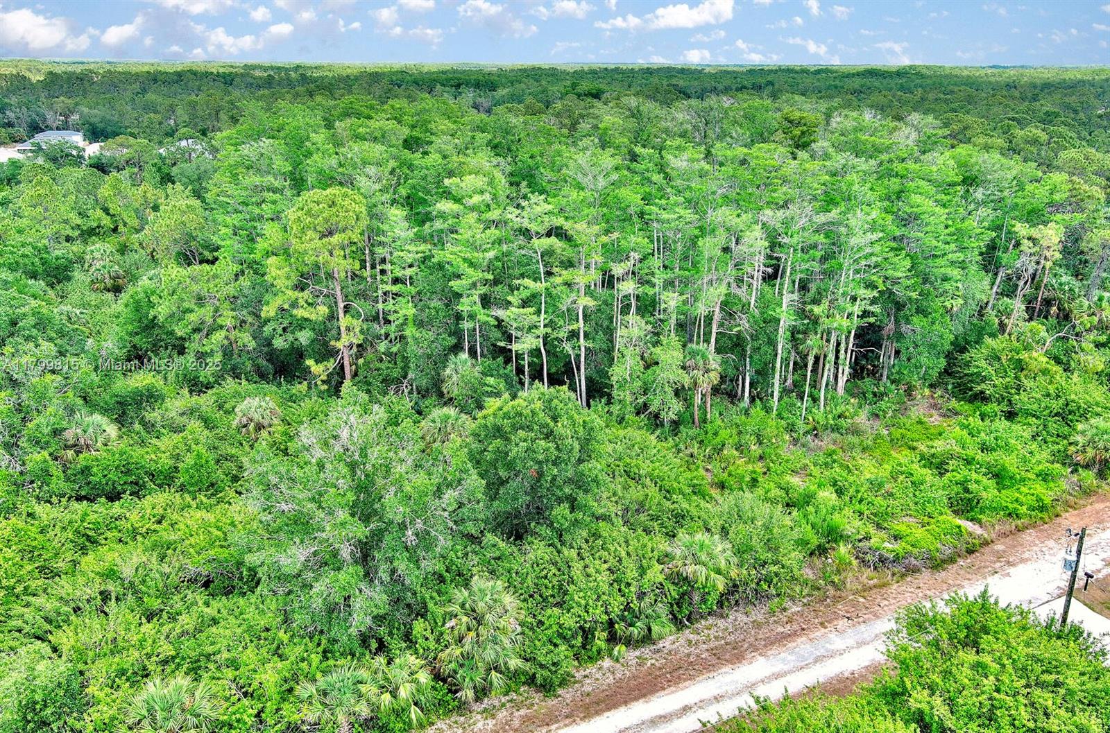 Lehigh Acres - Land