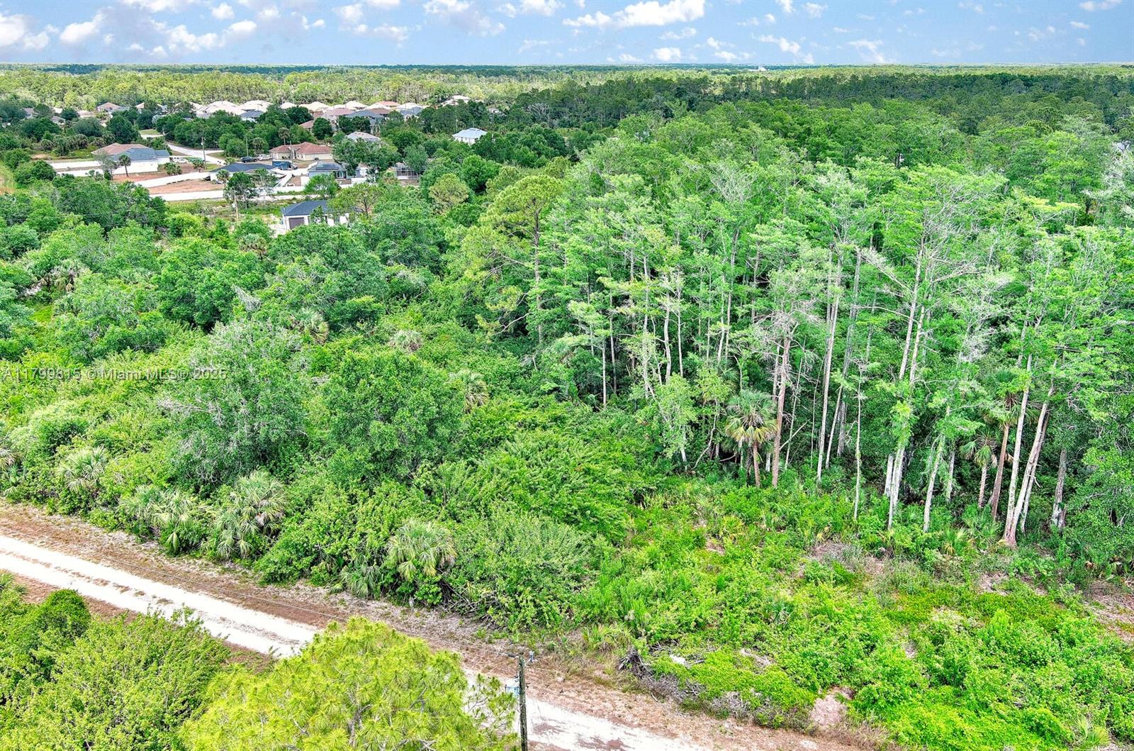 Lehigh Acres - Land