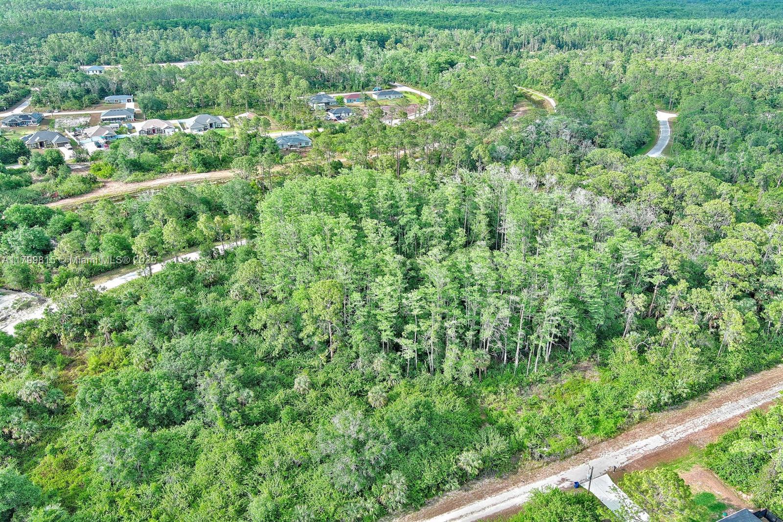 Lehigh Acres - Land