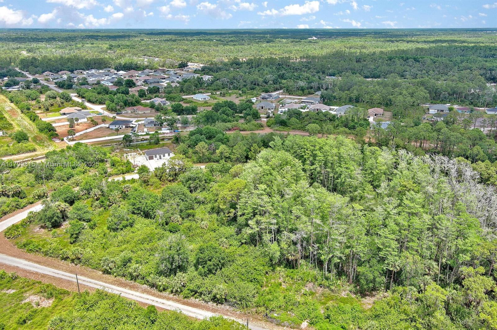 Lehigh Acres - Land