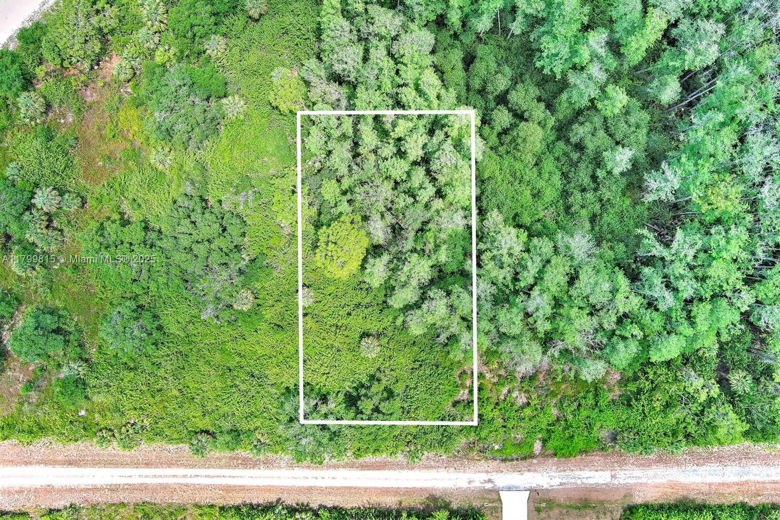 Lehigh Acres - Land