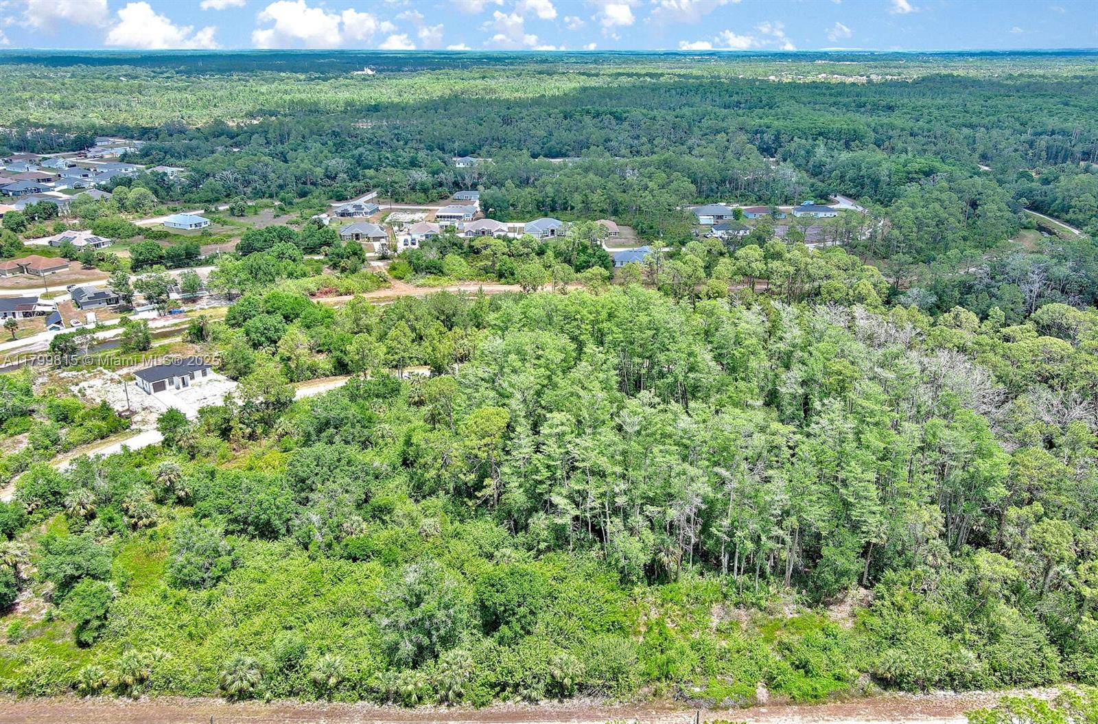 Lehigh Acres - Land
