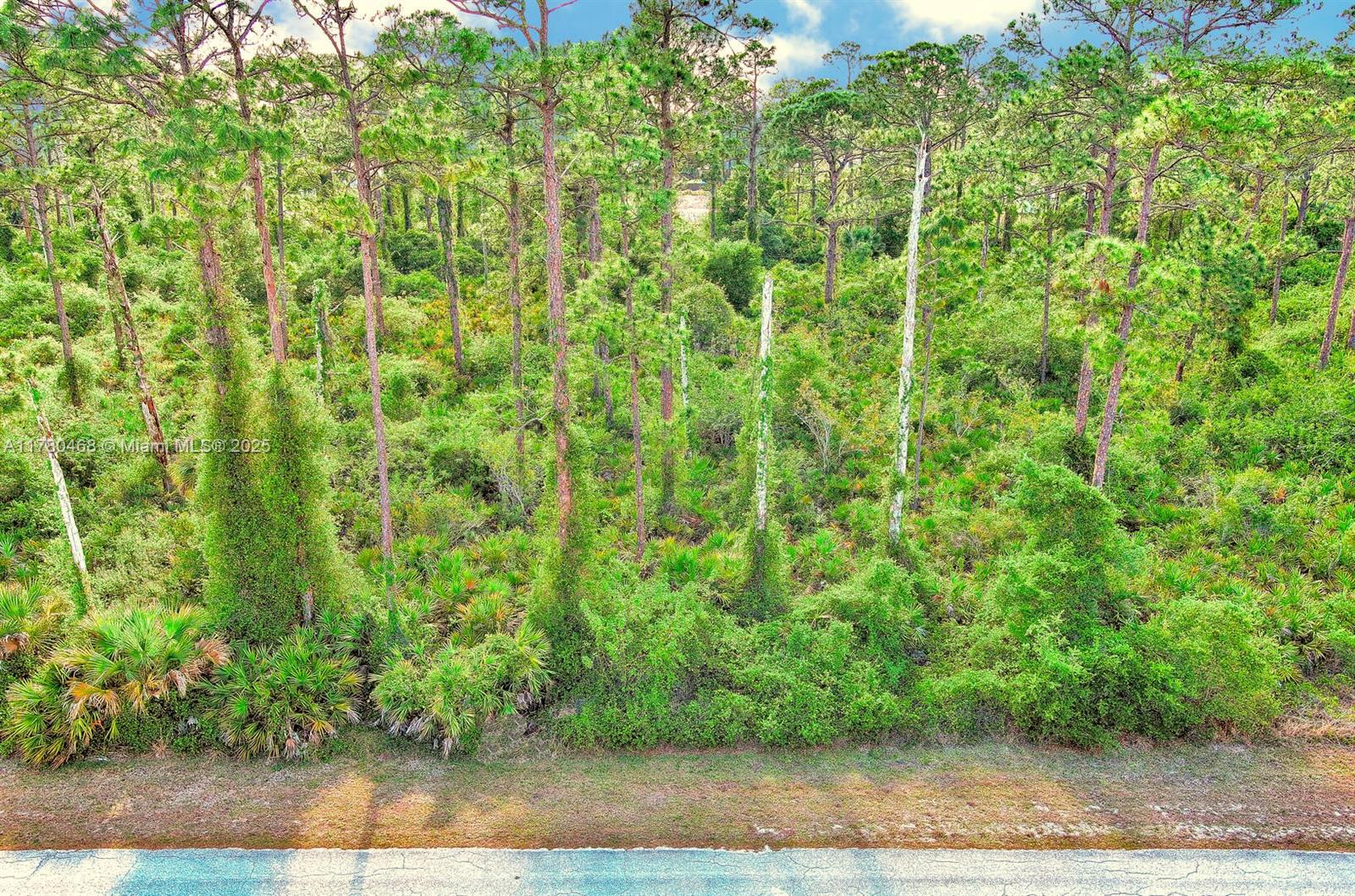 LEHIGH ACRES - Land