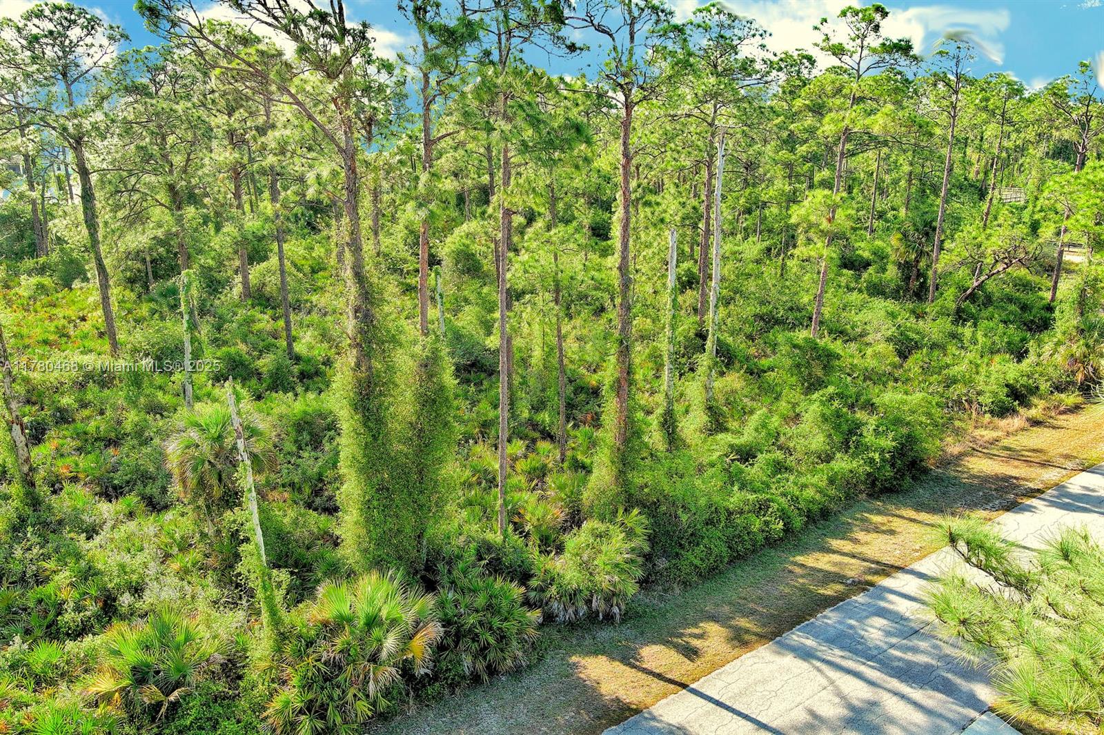 LEHIGH ACRES - Land
