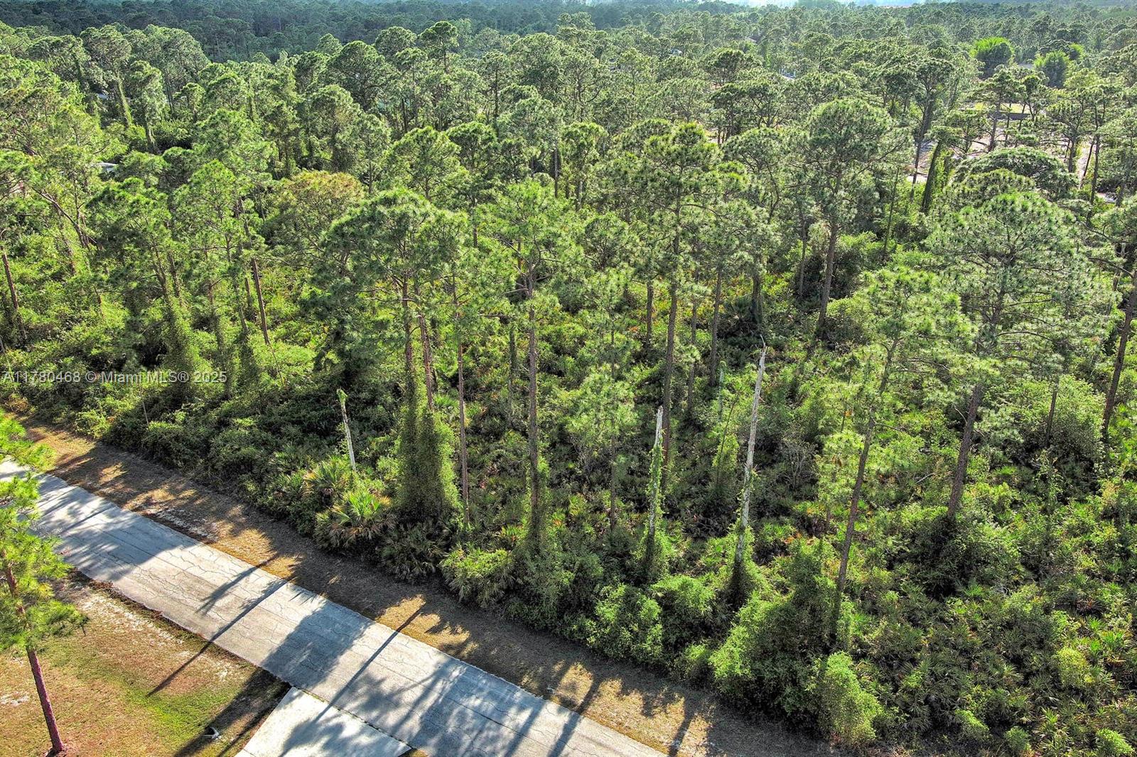 LEHIGH ACRES - Land