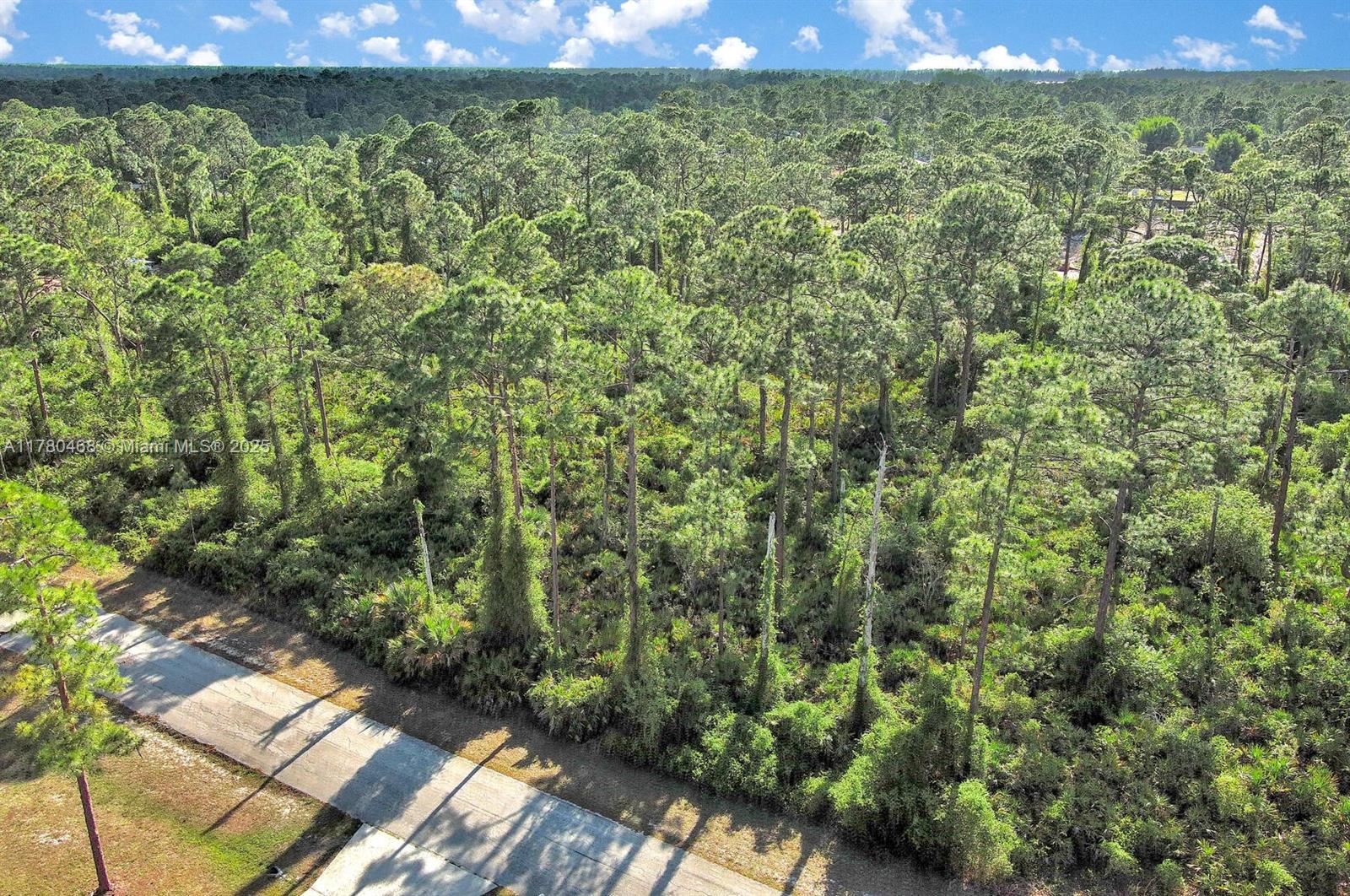 LEHIGH ACRES - Land