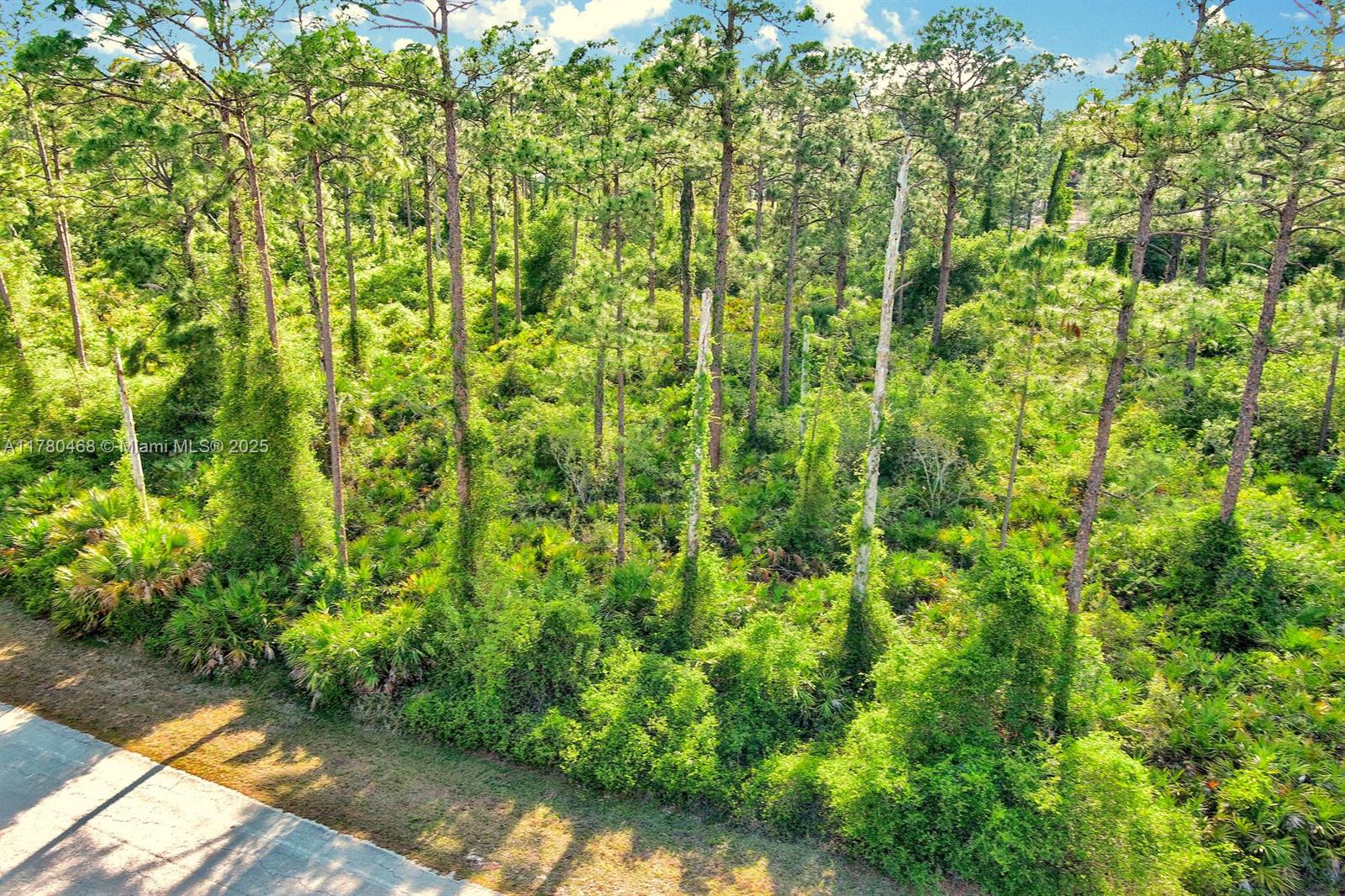 LEHIGH ACRES - Land