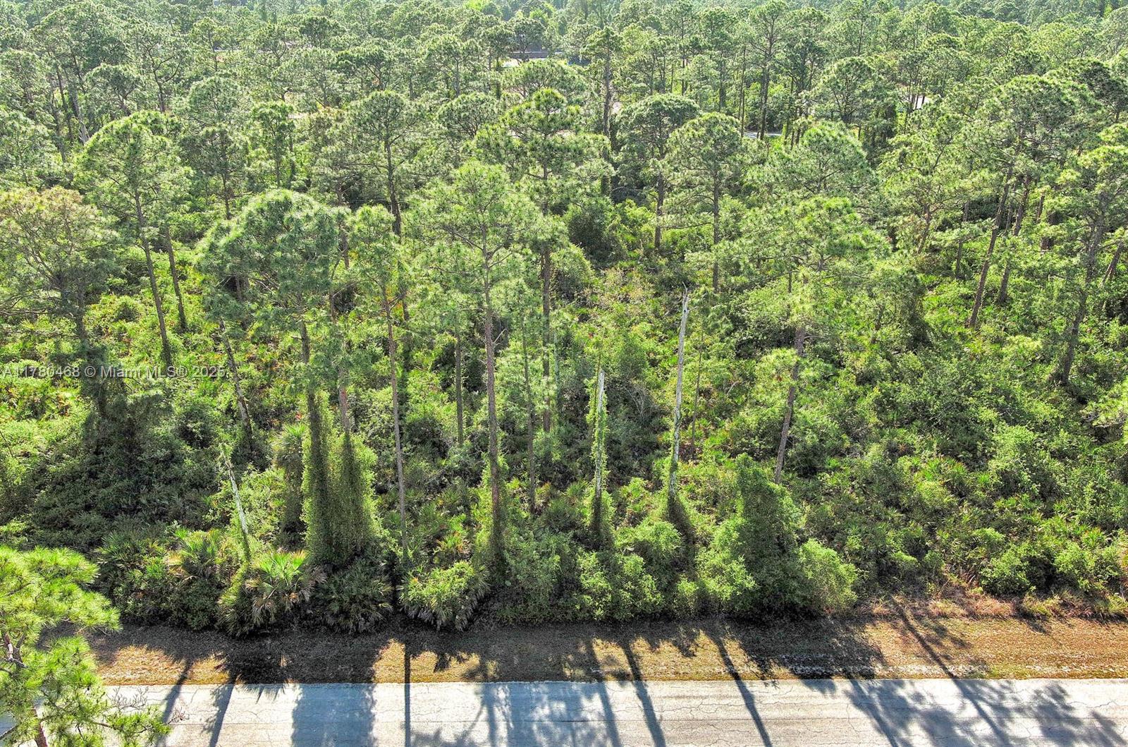 LEHIGH ACRES - Land