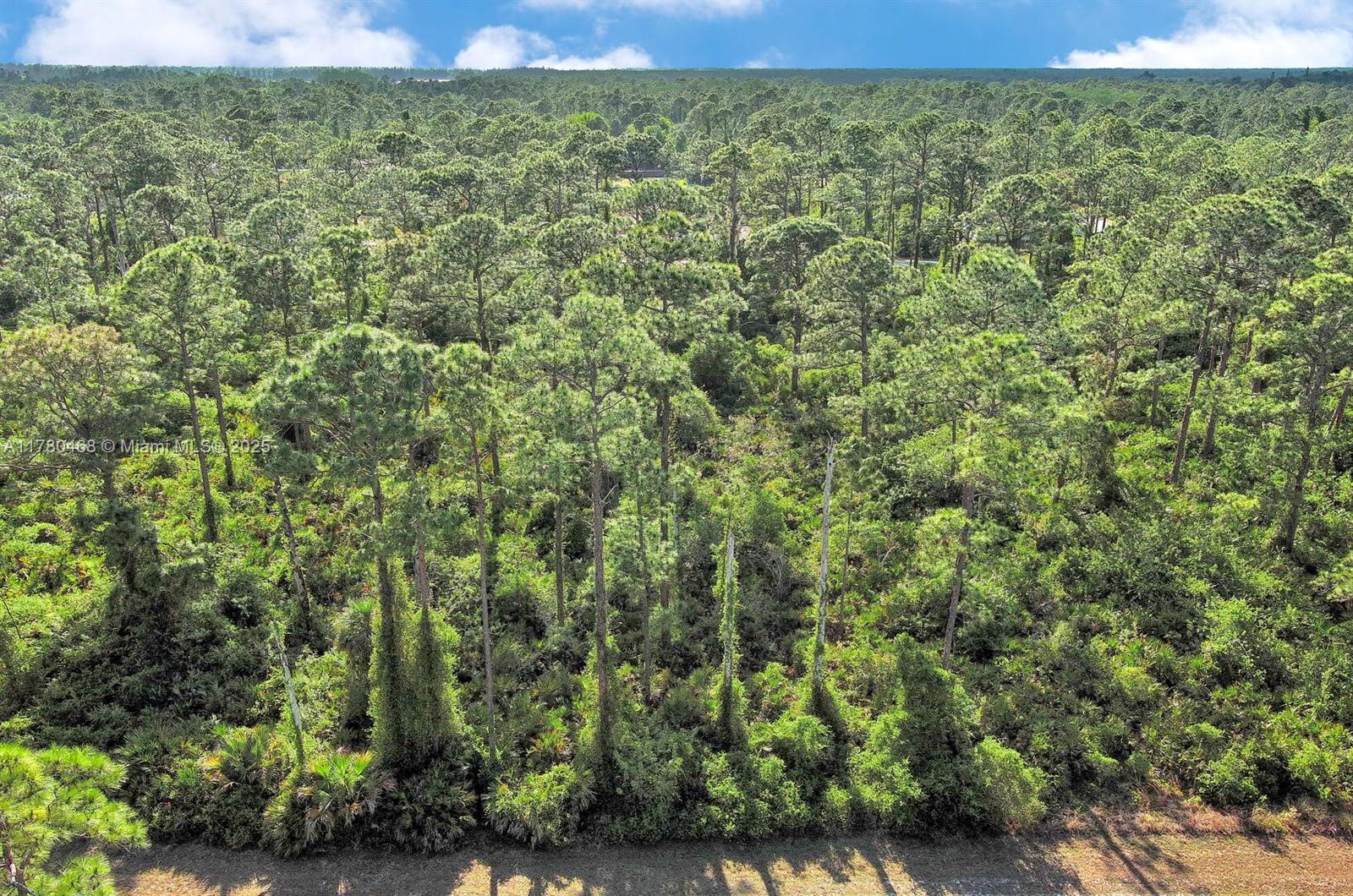 LEHIGH ACRES - Land
