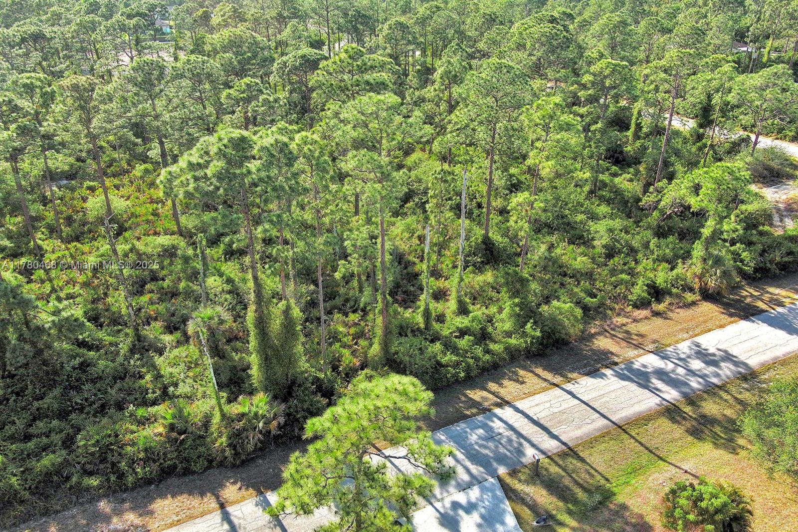 LEHIGH ACRES - Land