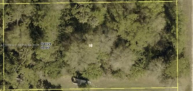 LEHIGH ACRES - Land